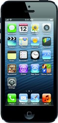 Apple iPhone 5 64GB - Арзамас