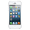 Apple iPhone 5 32Gb white - Арзамас