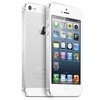 Apple iPhone 5 64Gb white - Арзамас